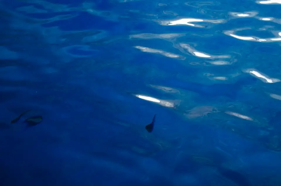 The blue Cave on Cabrera