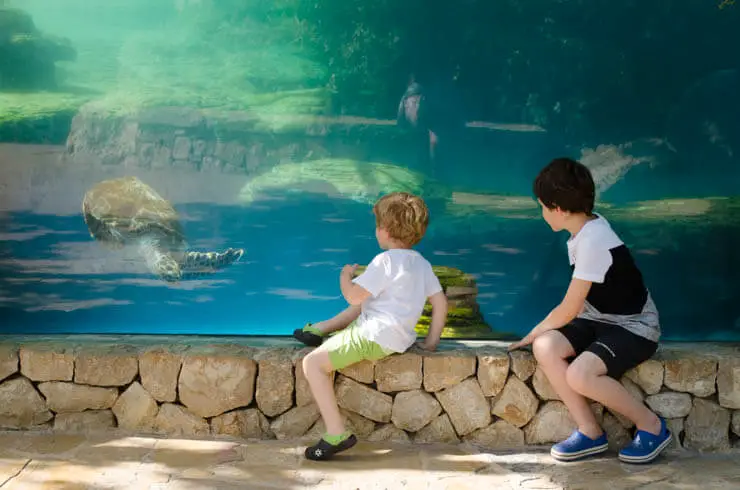 Palma Aquarium Mallorca für Kinder