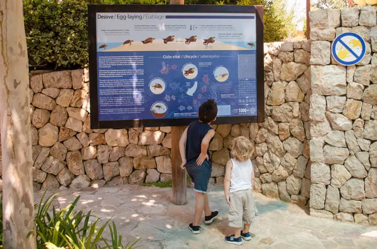 Palma Aquarium Mallorca für Kinder