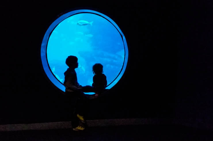 Palma Aquarium Mallorca für Kinder
