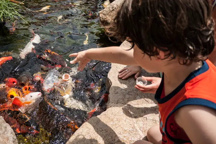 Palma Aquarium Mallorca für Kinder