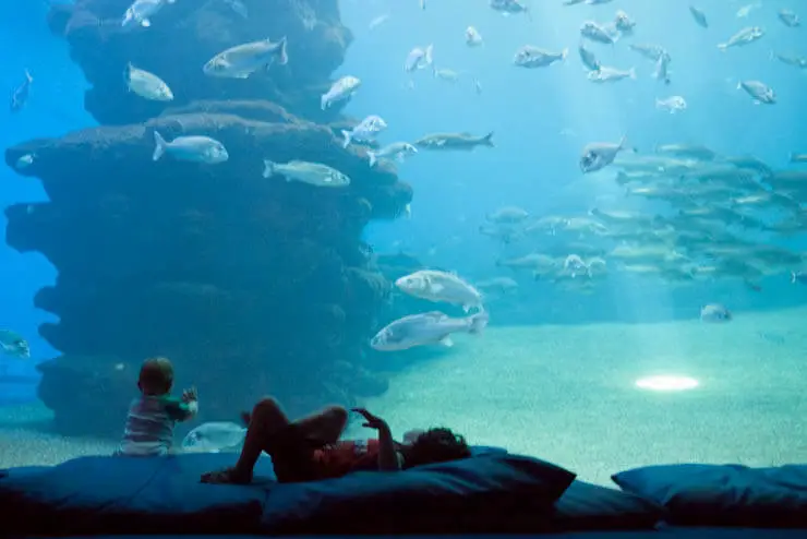 Palma Aquarium Mallorca für Kinder