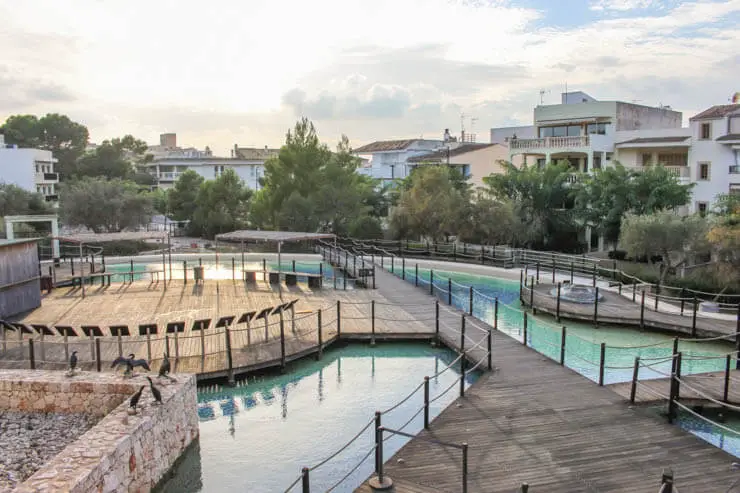 Aquarium in Colonia de Sant Jordi - Besucherzentrum Cambrera