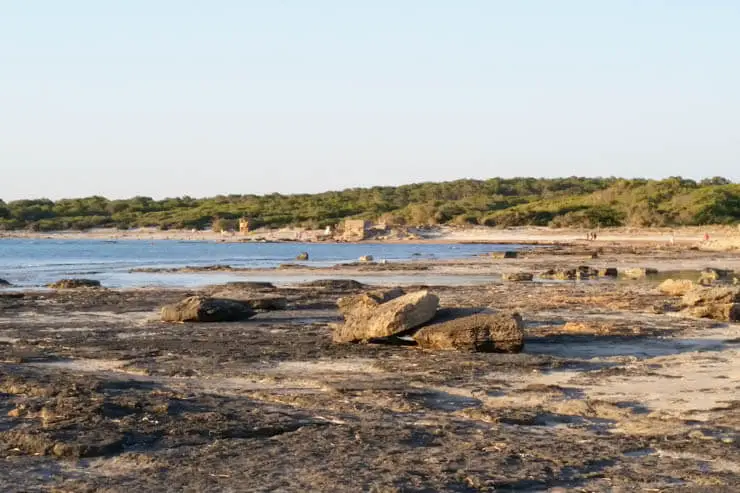 Colonia de Sant Jordi