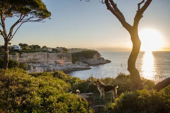 Klippenwanderung nach Cala Figuera