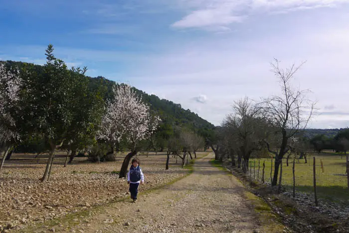 Naturschutzgebiet mallorca