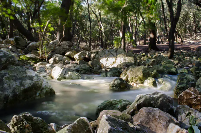 The naturals springs of Ses Fonts Ufanes