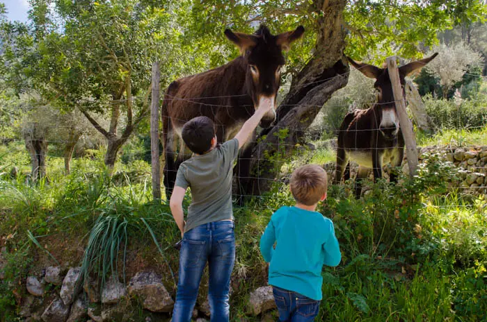 Wandern mit Kindern auf Mallorca