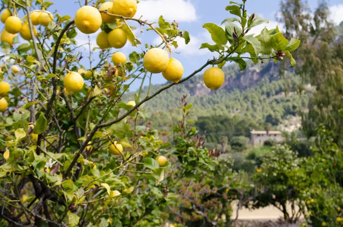 best hiking trails on mallorca 