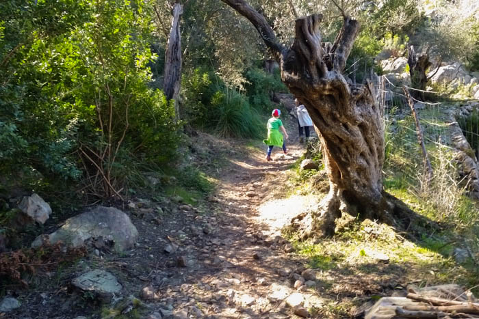 Familien Wanderung Mallorca