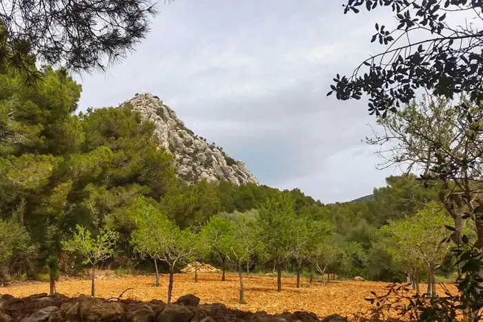 Klettertouren auf Mallorca
