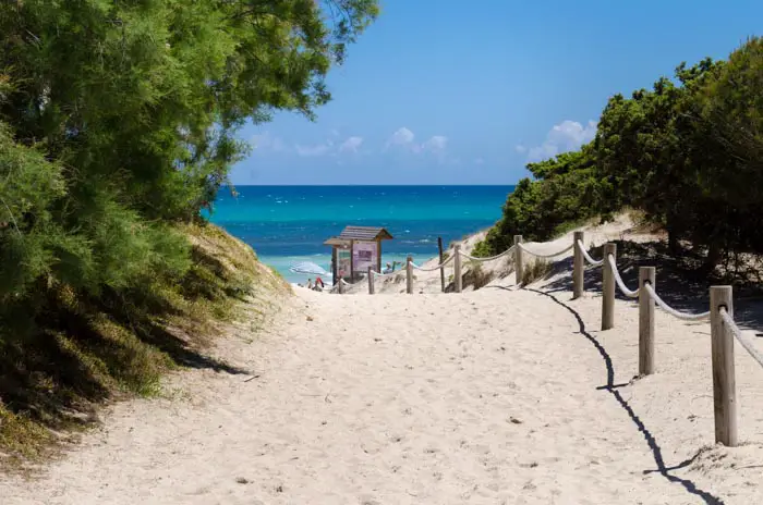 Mallorca mit Kindern: Playa de Muro