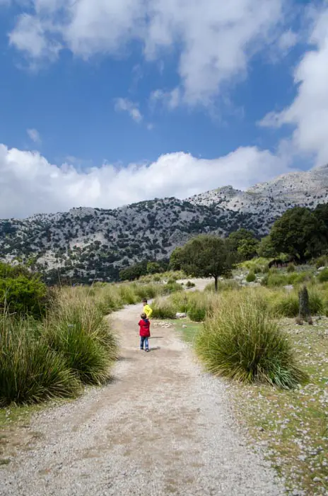 Wandern am Stausee Cuber, Mallorca