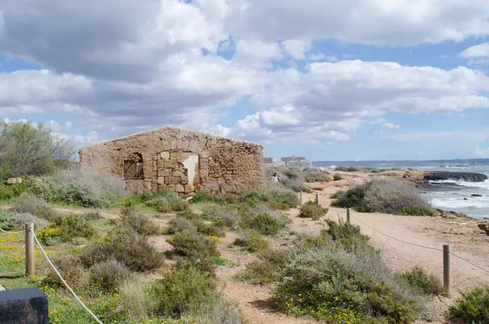 radtouren auf mallorca