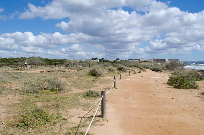 Cycling in Palma de Mallorca: The Coastal Bike Trail