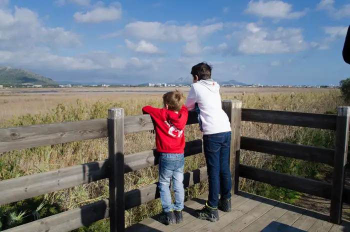 parc natural de albufera