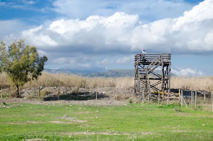 Radfahren im Naturpark Albufera auf Mallorca