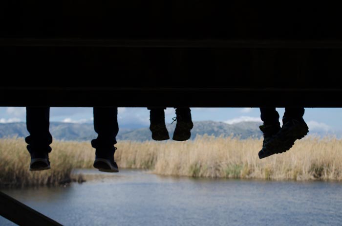 Der Naturpark von Albufera auf Mallorca