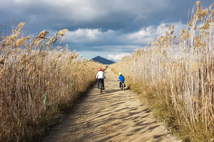 radfahren im naturpark albufera auf mallorca