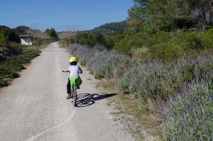Radfahren durch Lavendelfelder Mallorca