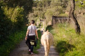 Esel Wanderung auf Mallorca