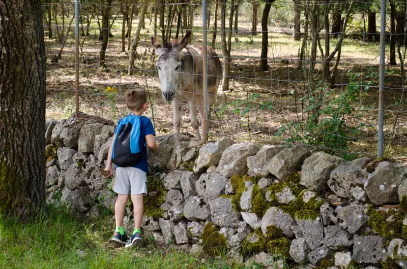 Rundwanderung am Kloster Lluc