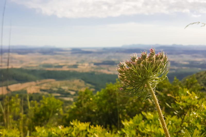 Wandern zum Kloster Randa