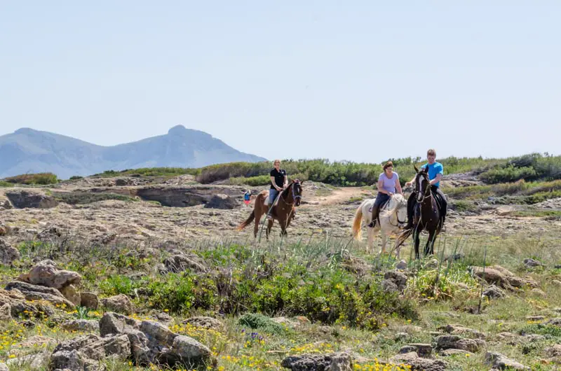 horseback riding tours in mallorca