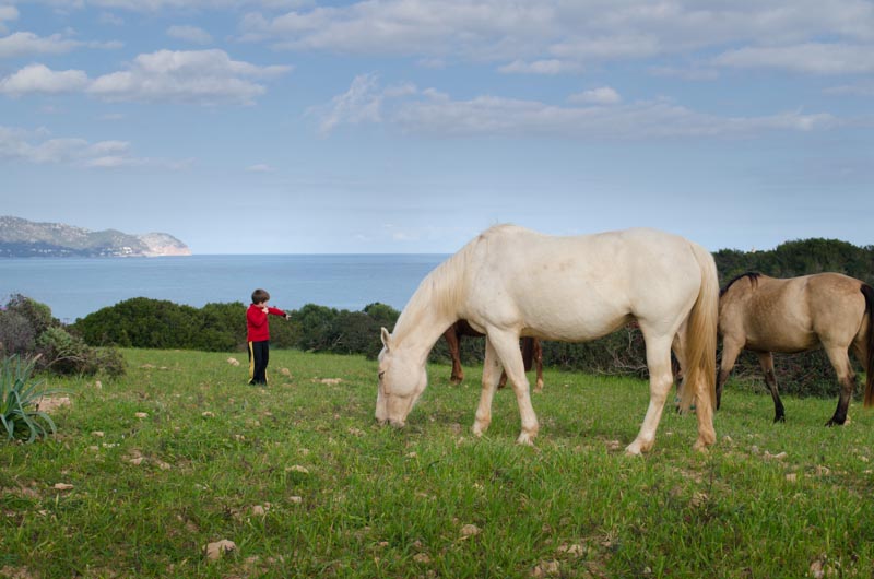 Reiten auf Mallorca