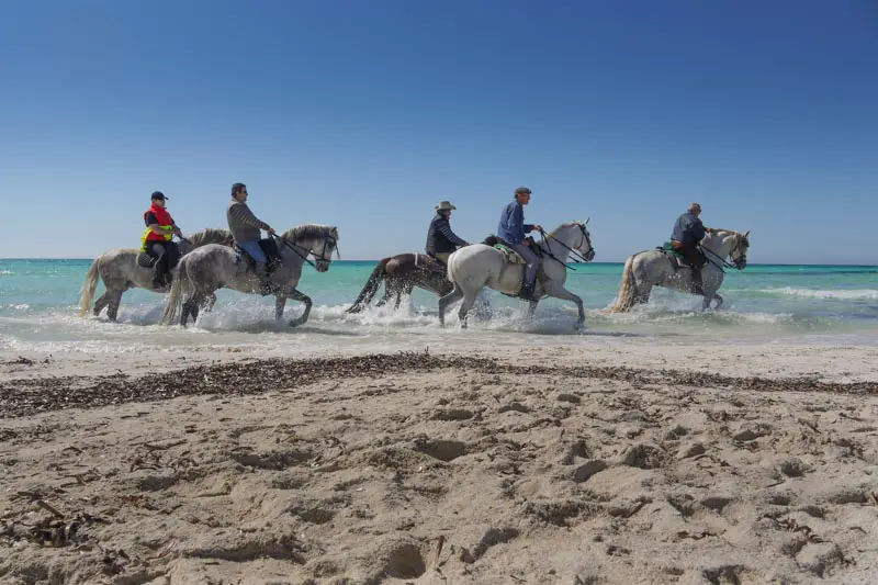 Reiten auf Mallorca. Reiten am Strand auf Mallorca.