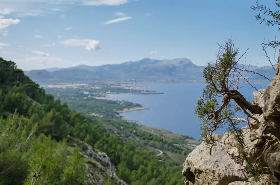 Wandern in Alcúdia