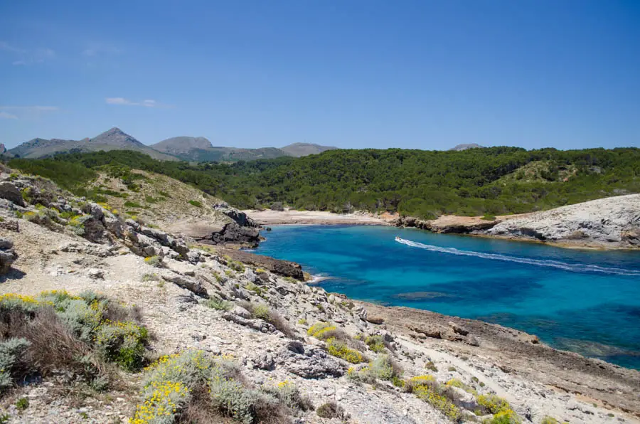 Strand Cala des Matzoc