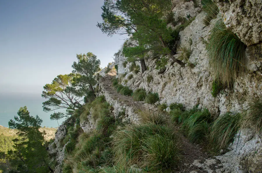 wanderung zur Talaia de Alcúdia