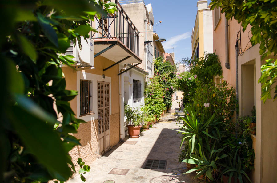 Santa Catalina in Palma de Mallorca