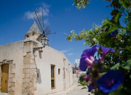 Mühlenviertel und Santa Catalina in Palma de Mallorca