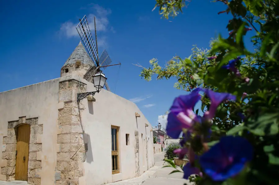 Mühlenviertel und Santa Catalina in Palma de Mallorca