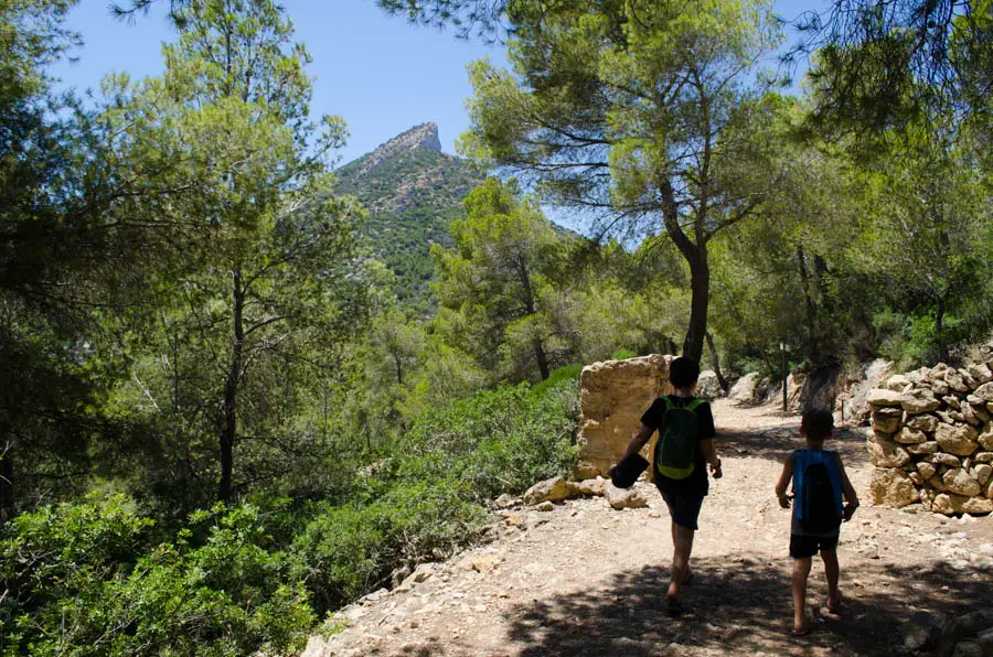 Dracheninsel Sa Dragonera Mallorca