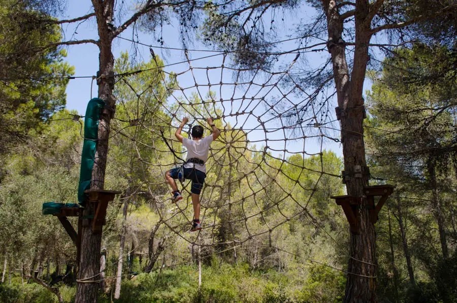 Kletterpark auf Mallorca: Zwischen den Baumwipfeln