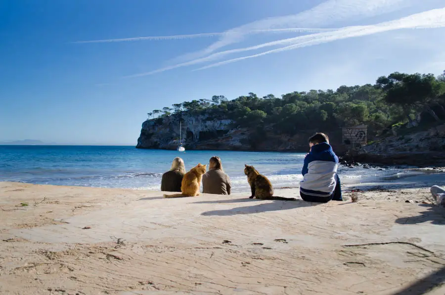 Cala Portals Vells Drei-Finger-Bucht Mallorca