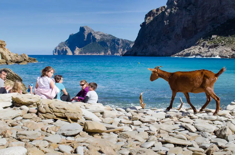 Cala Bóquer - Wanderung durchs Bóquer Tal