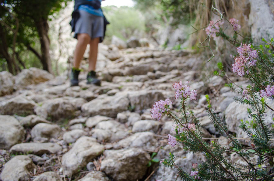 Wanderung Biniaraix: Camí Vell des Barranc