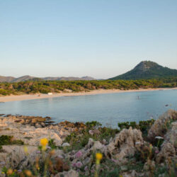 Cala Agulla Mallorca
