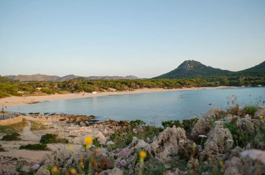 Cala Agulla Strand