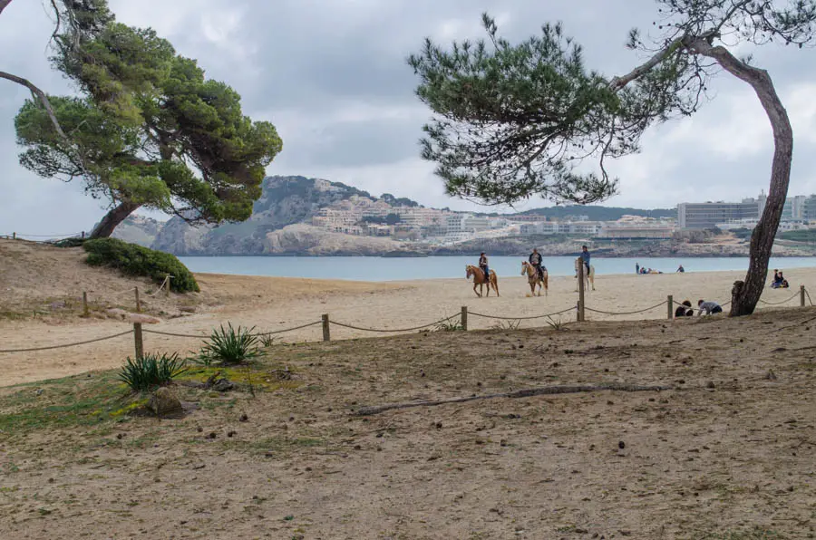 Cala Ratjada Reiten