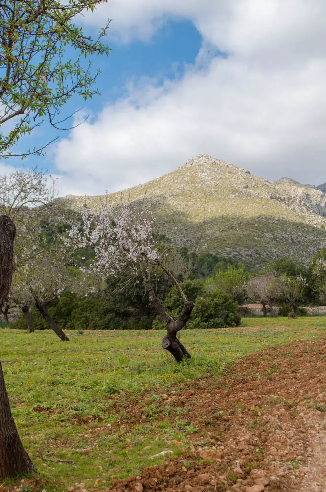 Puig de Galatzó