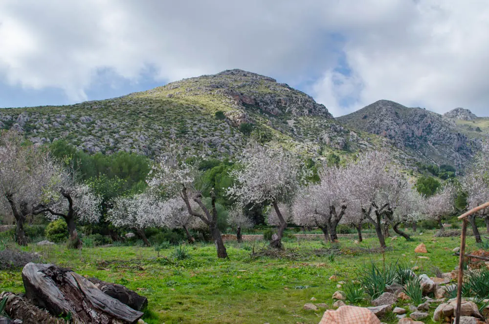 Finca Pública de Galatzó