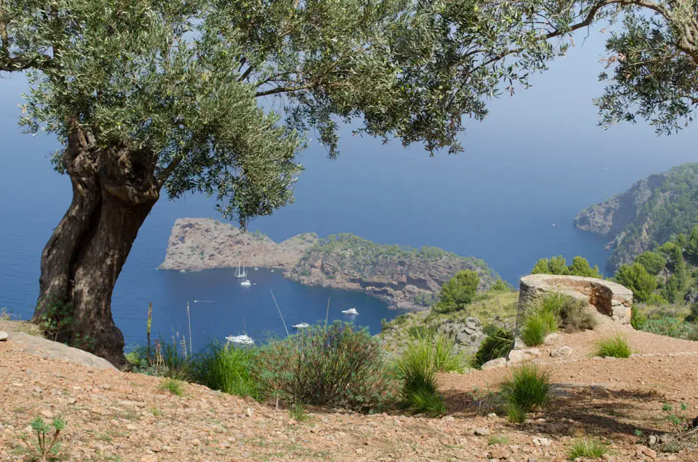 Lochfelsen Sa Foradada Mallorca