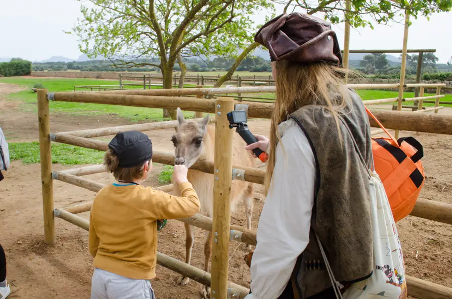 Auf der Ranch