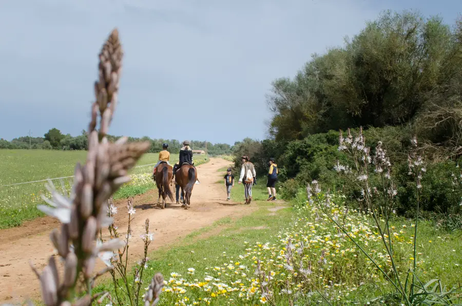 Reiten als Teil der Piratentour