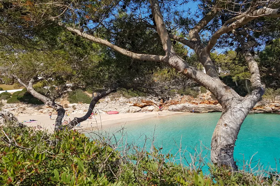 Cala d'Or Sehenswürdigkeiten